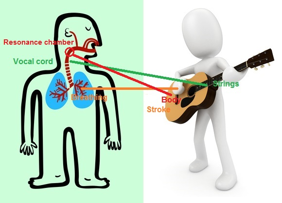 Resonance Why Its Important For The Mtf Voice 2pass Clinic 