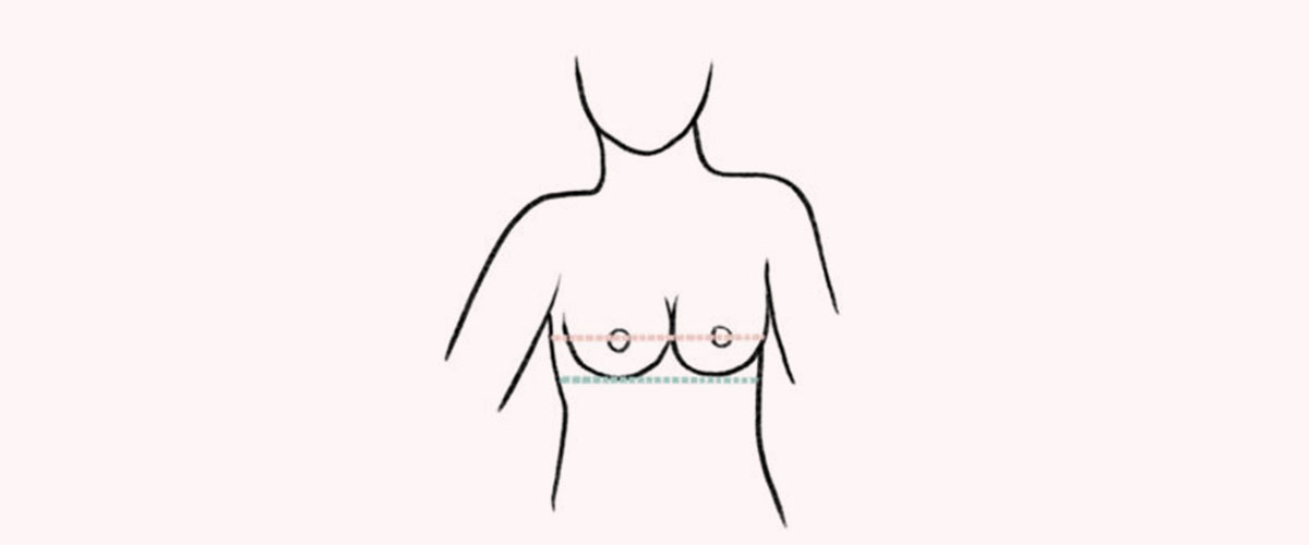 Breast growth during the first year of HRT: what can I expect? - 2pass  Clinic