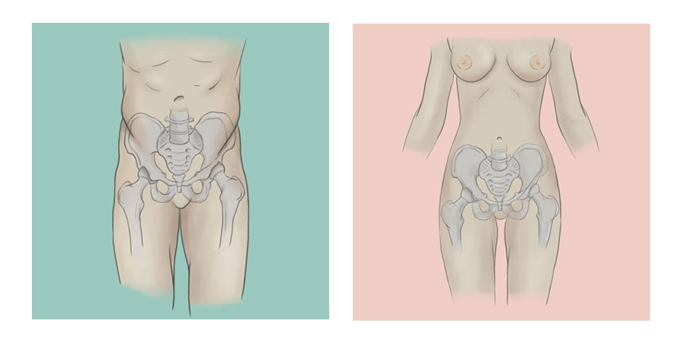 MTF Hip Widening: Top 5 Ways To Get Bigger Hips