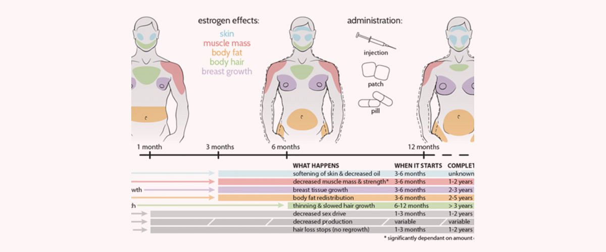 6 main body changes induced by MtF HRT