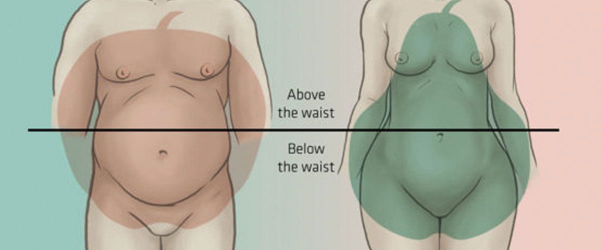 Female body:What is the difference between straight/rectangular